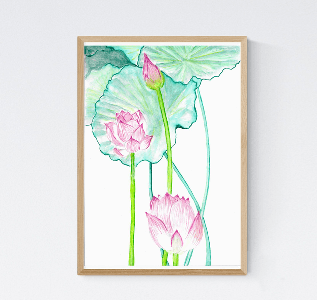 Lotus