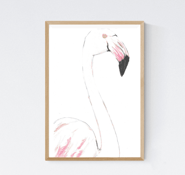 Flamant rose Profil